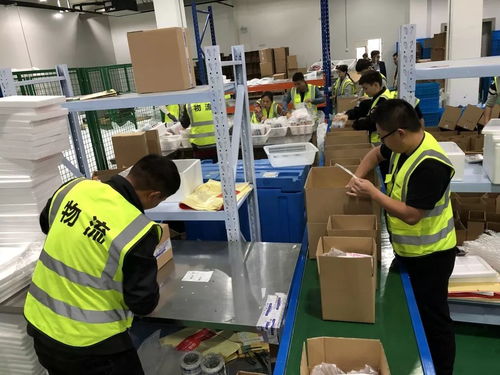 什么 破億 雙11 云起 臨浦 網(wǎng)紅曲奇 akoko 當(dāng)日銷售千萬(wàn) 看進(jìn)來(lái)